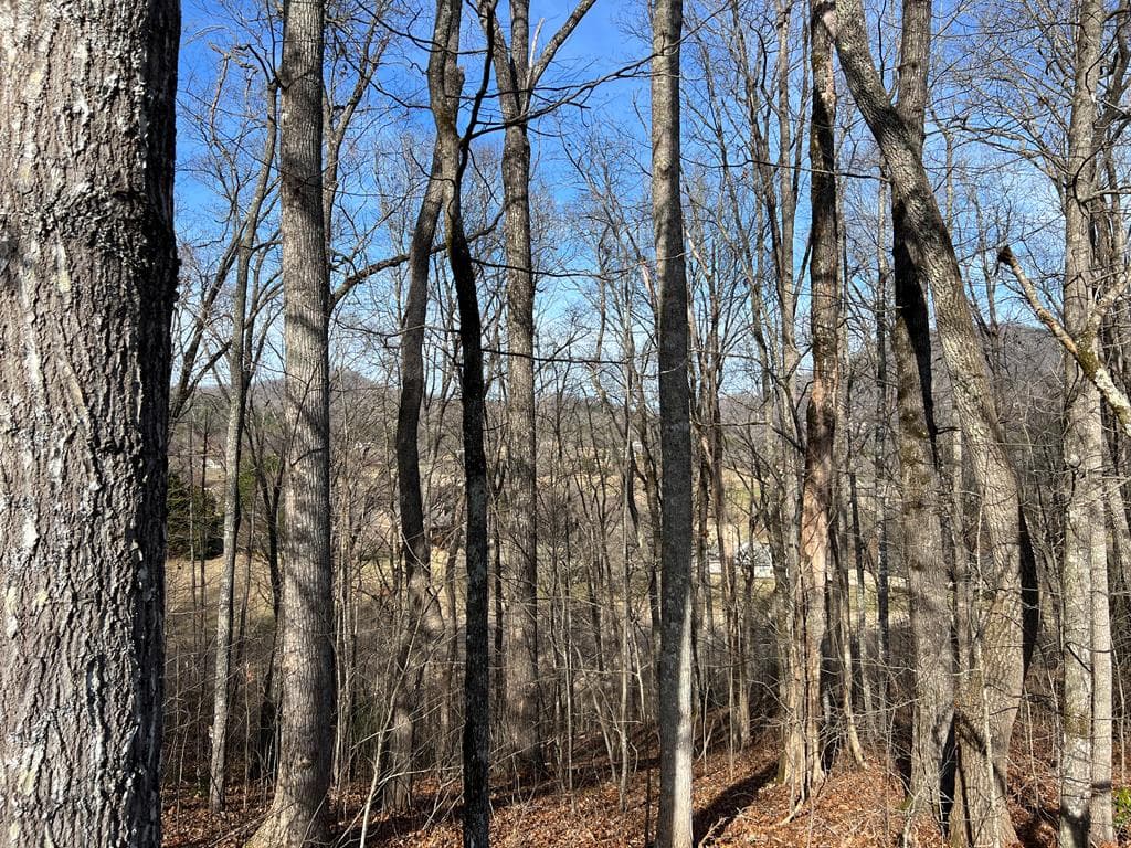 Lot 77A Licklog Ridge, Hayesville NC 28904 - Photo