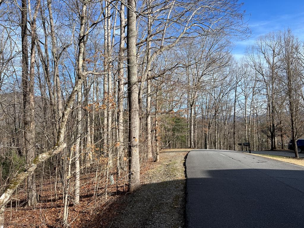 Lot 77A Licklog Ridge, Hayesville NC 28904 - Photo