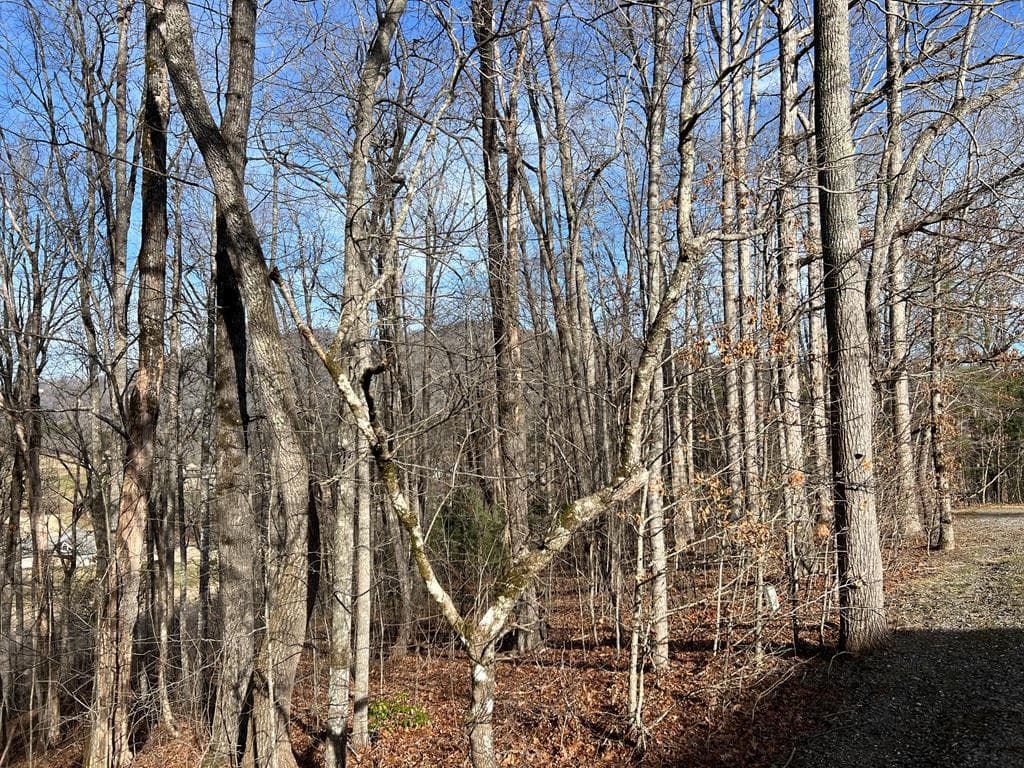 Lot 77A Licklog Ridge, Hayesville NC 28904 - Photo