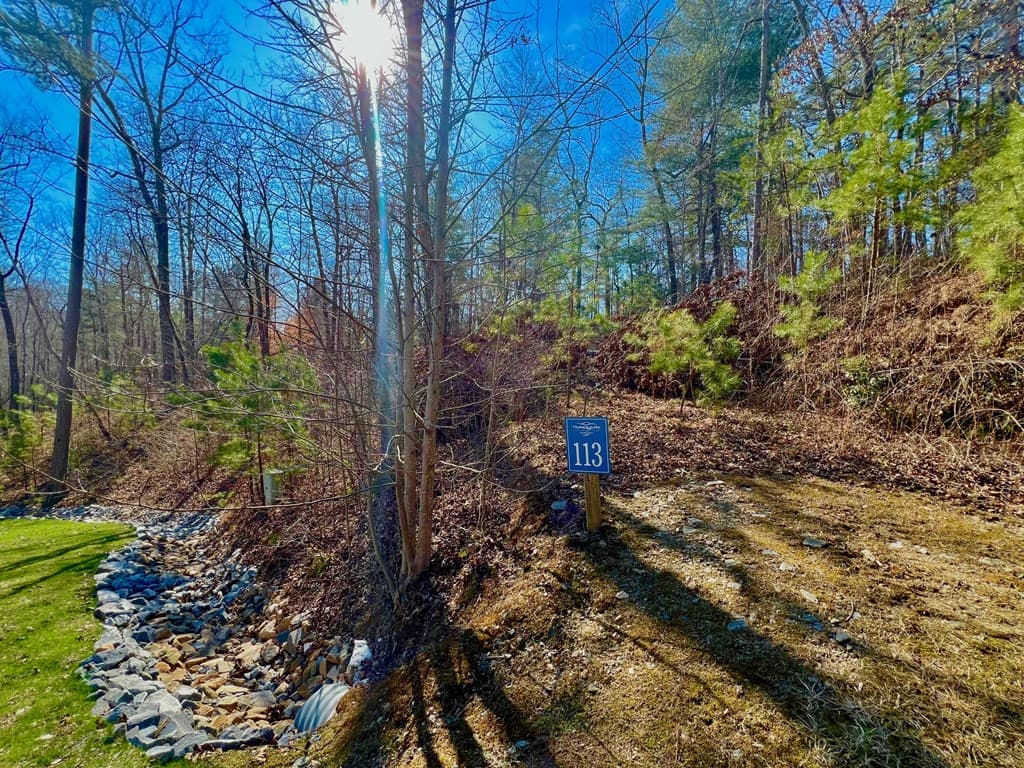 113 Beech Tree Drive, Ellijay GA 30540 - Photo