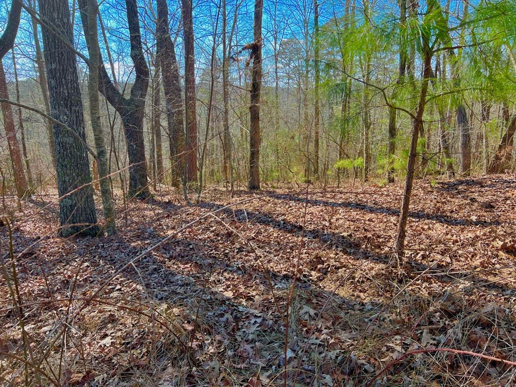 113 Beech Tree Drive, Ellijay GA 30540 - Photo