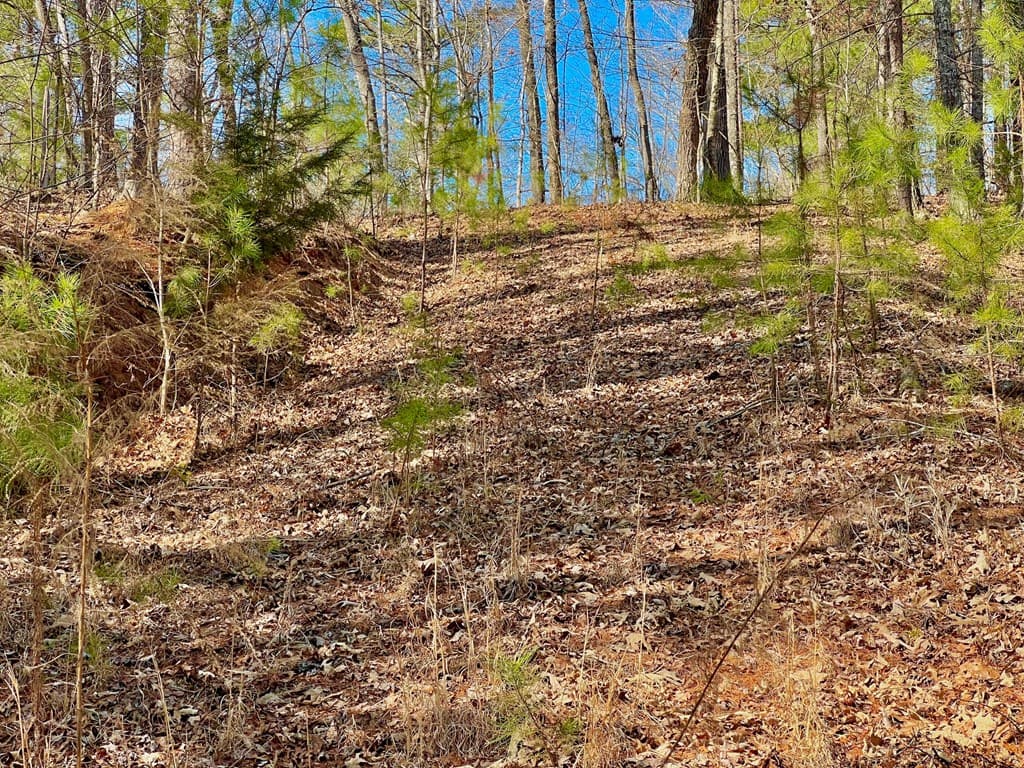 113 Beech Tree Drive, Ellijay GA 30540 - Photo