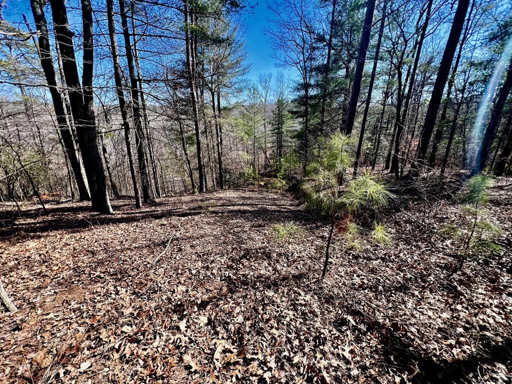 113 Beech Tree Drive, Ellijay GA 30540 - Photo