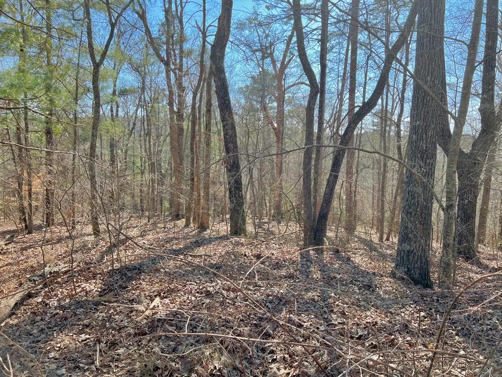 113 Beech Tree Drive, Ellijay GA 30540 - Primary photo