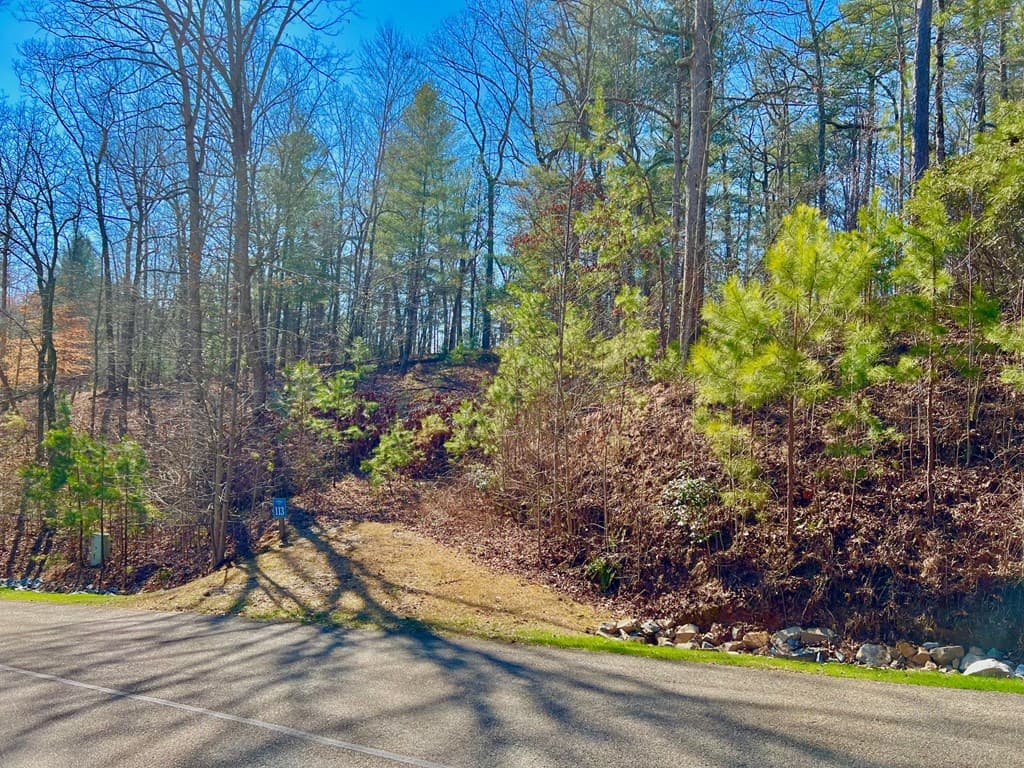 113 Beech Tree Drive, Ellijay GA 30540 - Photo