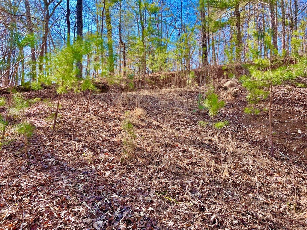 113 Beech Tree Drive, Ellijay GA 30540 - Photo