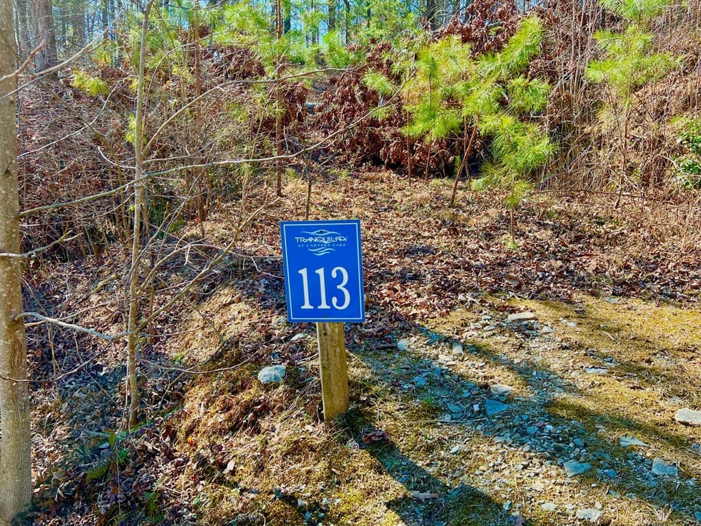 113 Beech Tree Drive, Ellijay GA 30540 - Photo