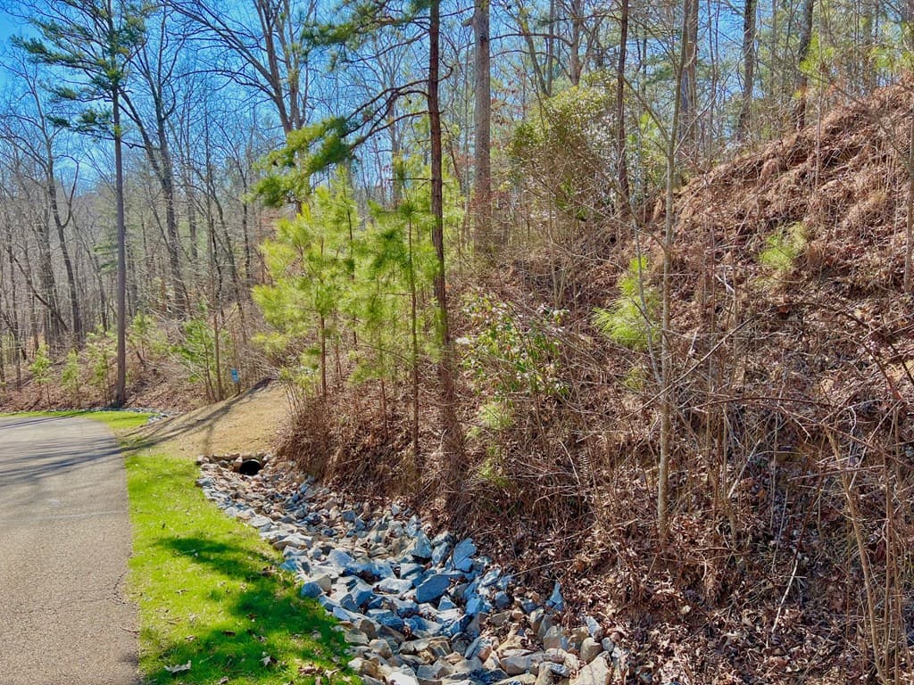 113 Beech Tree Drive, Ellijay GA 30540 - Photo
