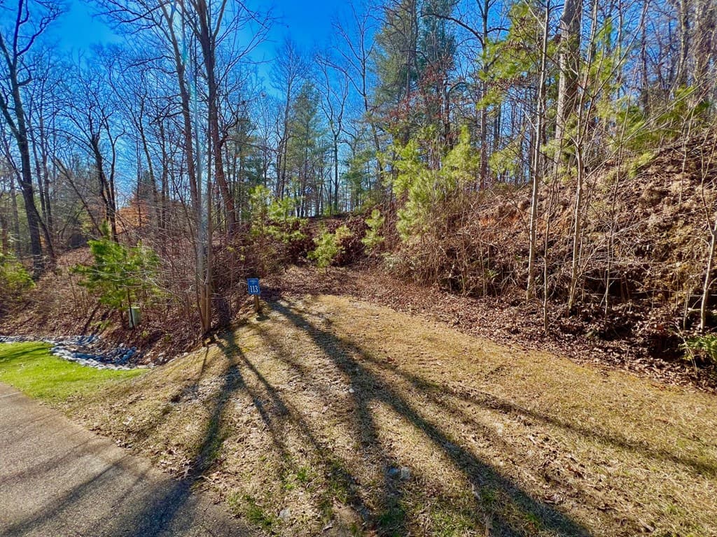 113 Beech Tree Drive, Ellijay GA 30540 - Photo
