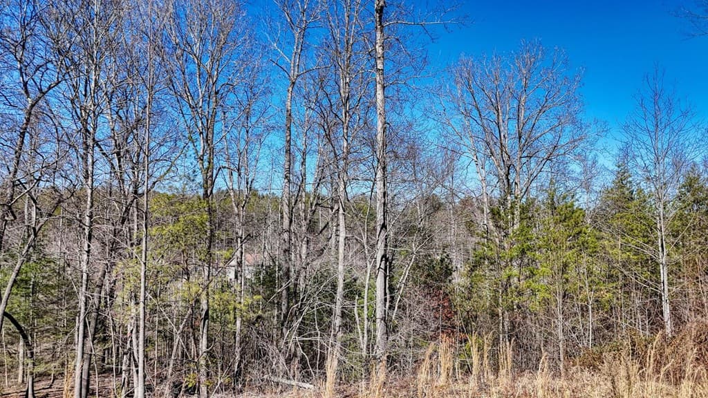 Lot 42 Coras Way, Blairsville GA 30512 - Photo