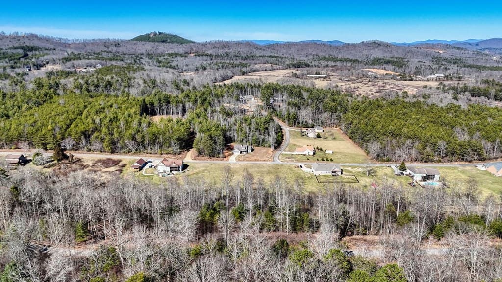 Lot 42 Coras Way, Blairsville GA 30512 - Photo