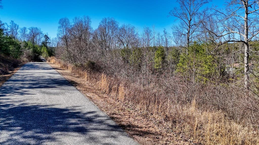 Lot 42 Coras Way, Blairsville GA 30512 - Photo