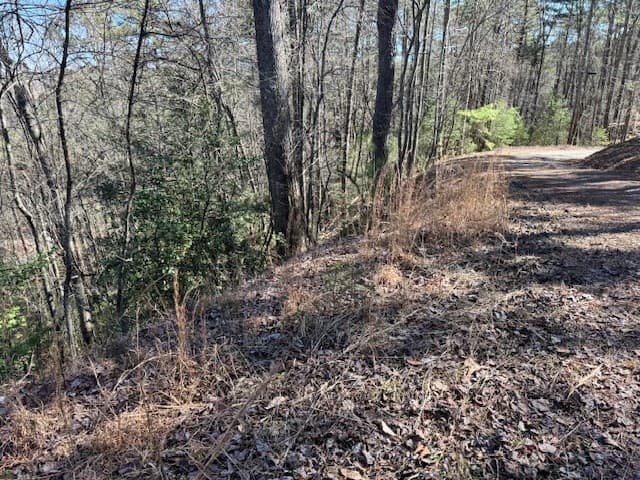 Lot 1198 Lancer Court, Ellijay GA 30540 - Photo