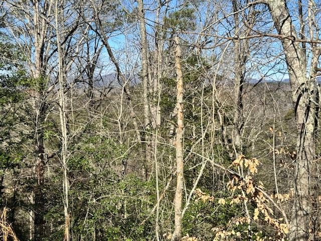 Lot 1198 Lancer Court, Ellijay GA 30540 - Primary photo