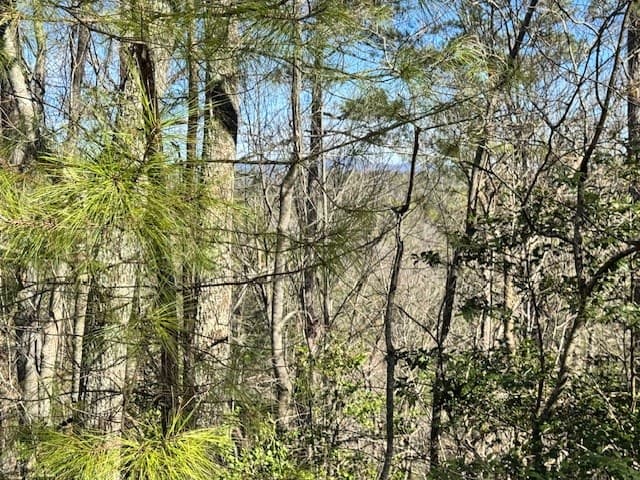 Lot 1198 Lancer Court, Ellijay GA 30540 - Photo
