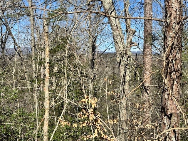 Lot 1198 Lancer Court, Ellijay GA 30540 - Photo