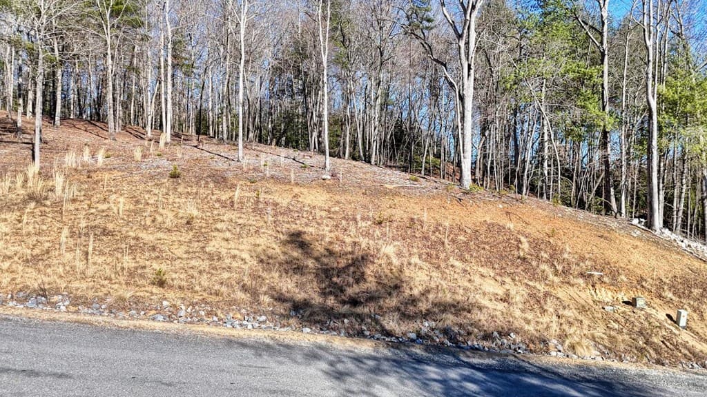 Lot 2 Ridges Of Blue Ridge, Morganton GA 30560 - Photo