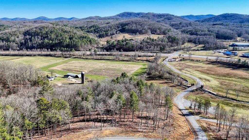 Lot 2 Ridges Of Blue Ridge, Morganton GA 30560 - Photo