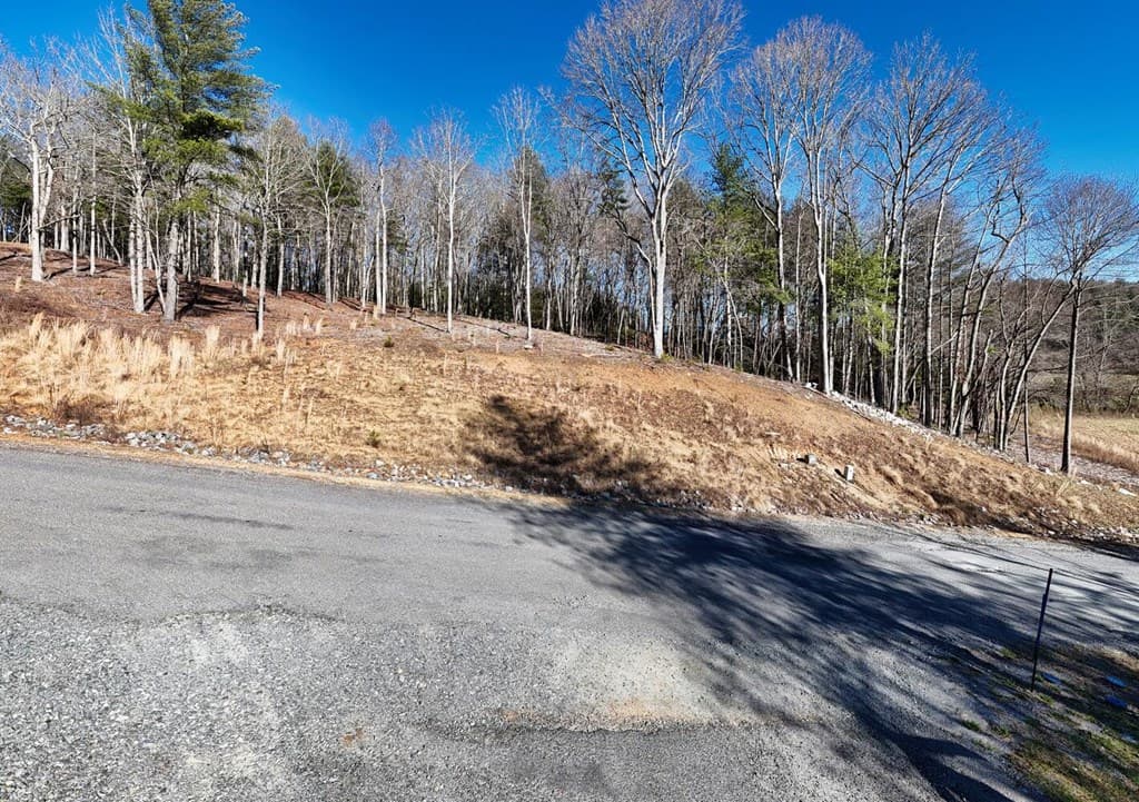 Lot 2 Ridges Of Blue Ridge, Morganton GA 30560 - Photo
