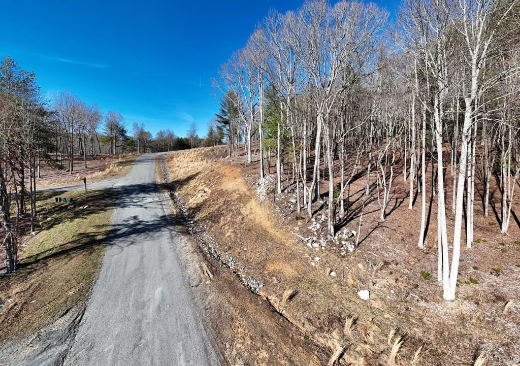 Lot 2 Ridges Of Blue Ridge, Morganton GA 30560 - Photo