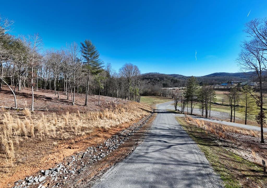 Lot 2 Ridges Of Blue Ridge, Morganton GA 30560 - Photo