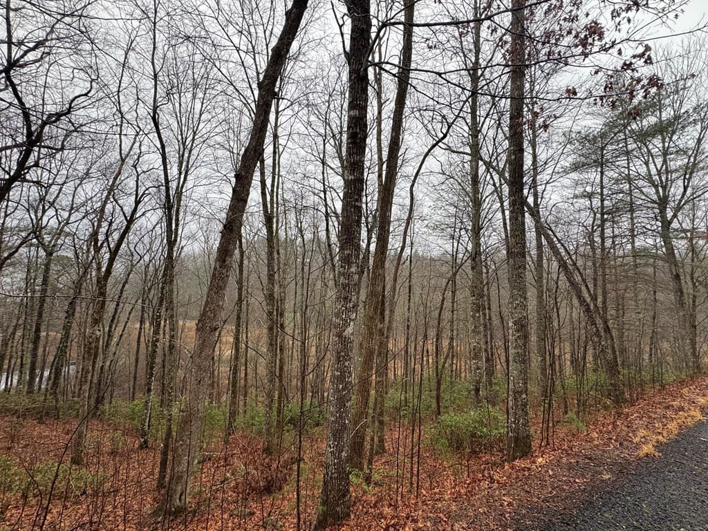 Lot 41 Whisper Woods Road, Hiawassee GA 30546 - Photo
