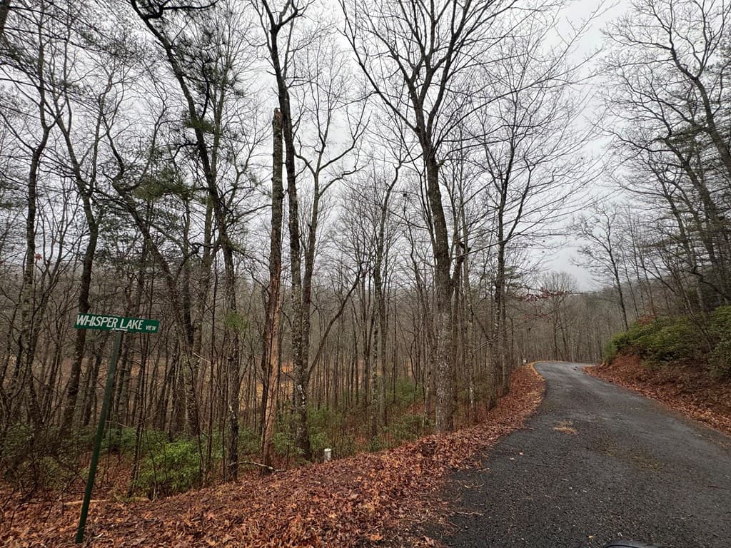 Lot 41 Whisper Woods Road, Hiawassee GA 30546 - Photo