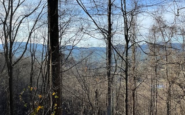 LT 73 Hidden Treasure Est, Murphy NC 28906 - Photo