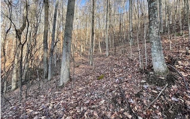 LT 73 Hidden Treasure Est, Murphy NC 28906 - Photo