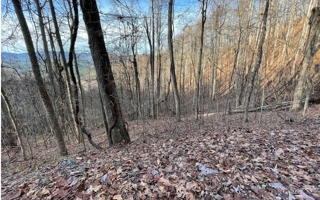 LT 73 Hidden Treasure Est, Murphy NC 28906 - Photo