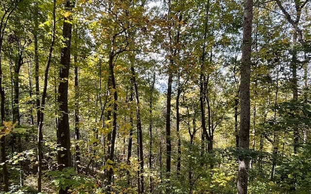 LT 73 Hidden Treasure Est, Murphy NC 28906 - Photo