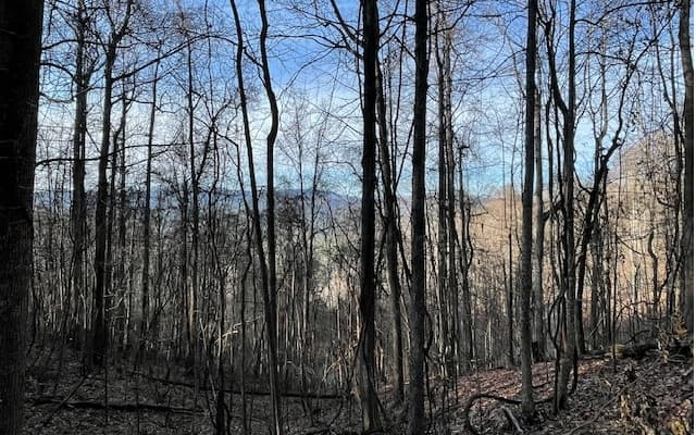 LT 73 Hidden Treasure Est, Murphy NC 28906 - Photo