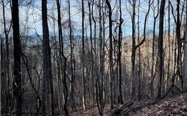 LT 73 Hidden Treasure Est, Murphy NC 28906 - Photo