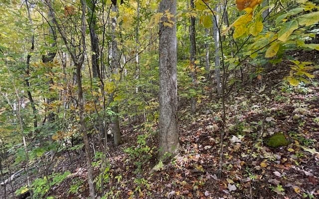 LT 73 Hidden Treasure Est, Murphy NC 28906 - Photo