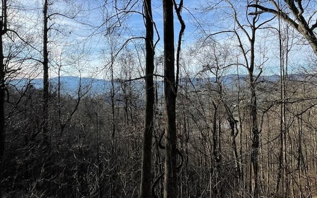 LT 73 Hidden Treasure Est, Murphy NC 28906 - Photo