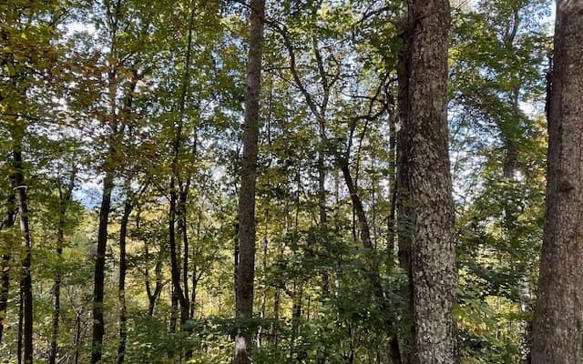 LT 73 Hidden Treasure Est, Murphy NC 28906 - Photo