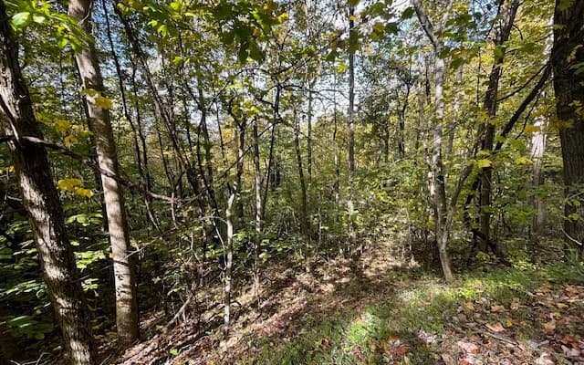 LT 73 Hidden Treasure Est, Murphy NC 28906 - Photo