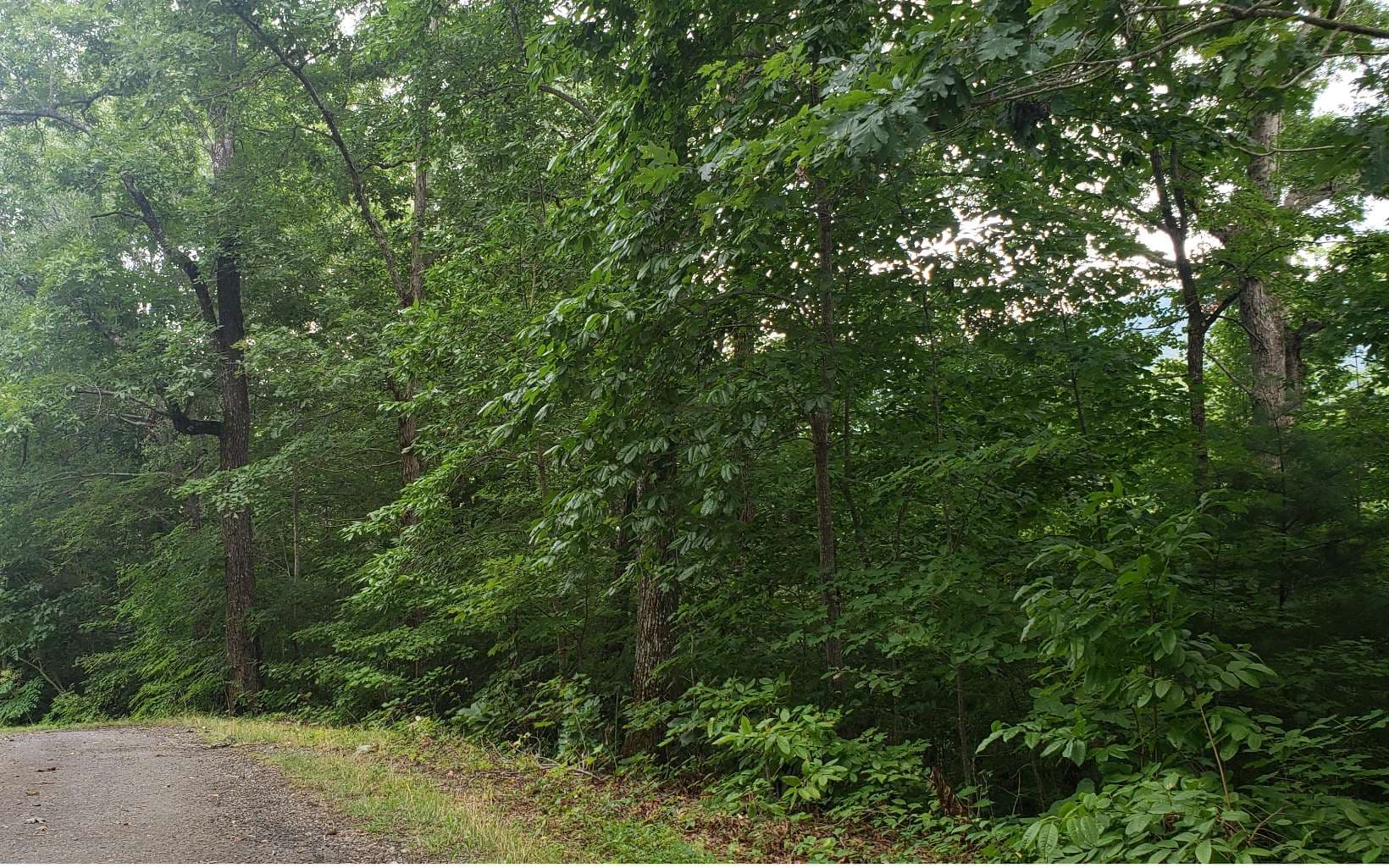 0 Clark Drive, Hiawassee GA 30546 - Photo