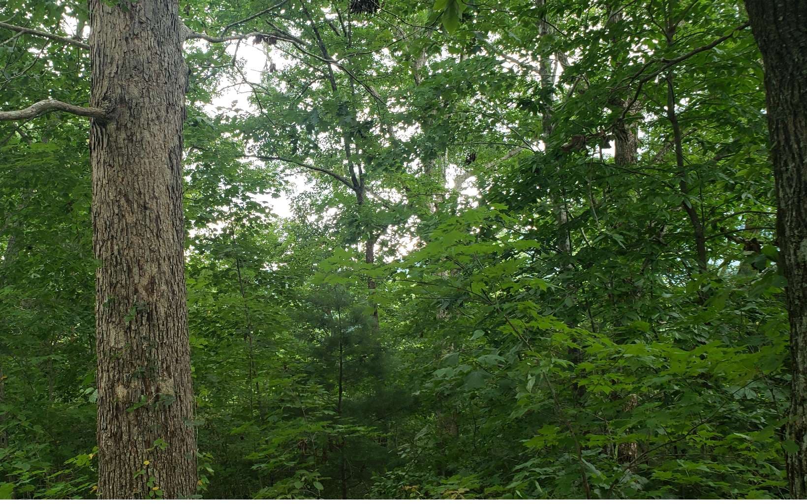 0 Clark Drive, Hiawassee GA 30546 - Photo