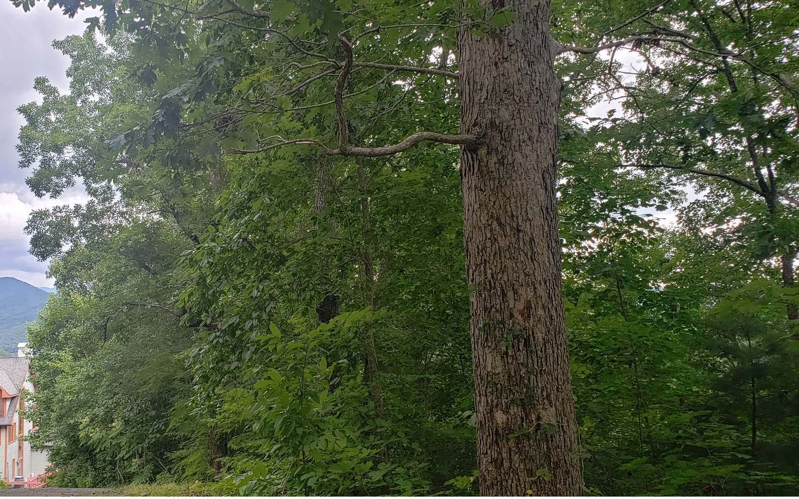 0 Clark Drive, Hiawassee GA 30546 - Photo