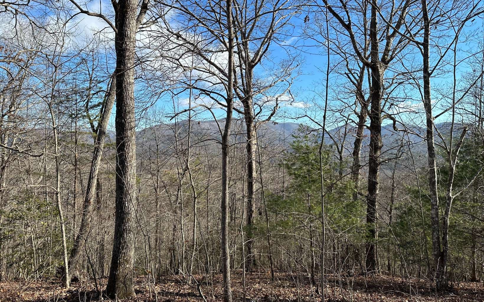 0 Clark Drive, Hiawassee GA 30546 - Photo