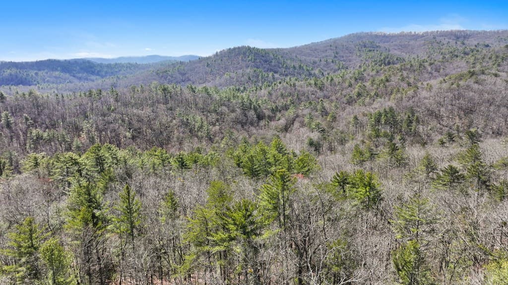 11.1 Ac. Stevens Ridge Road, Ellijay GA 30540 - Photo