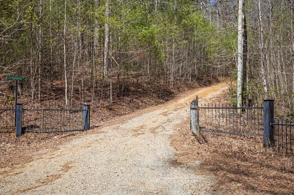 11.1 Ac. Stevens Ridge Road, Ellijay GA 30540 - Photo