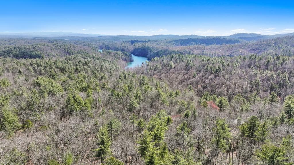 11.1 Ac. Stevens Ridge Road, Ellijay GA 30540 - Primary photo