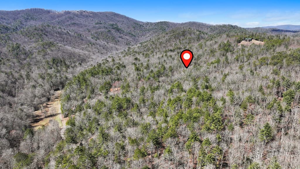 11.1 Ac. Stevens Ridge Road, Ellijay GA 30540 - Photo
