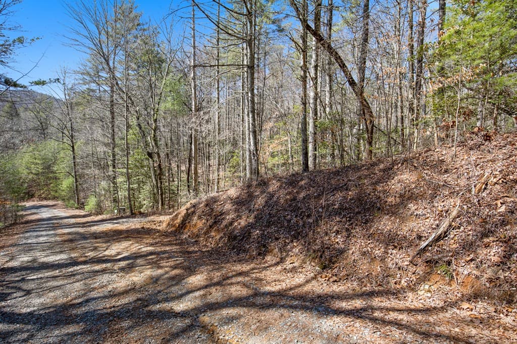 11.1 Ac. Stevens Ridge Road, Ellijay GA 30540 - Photo