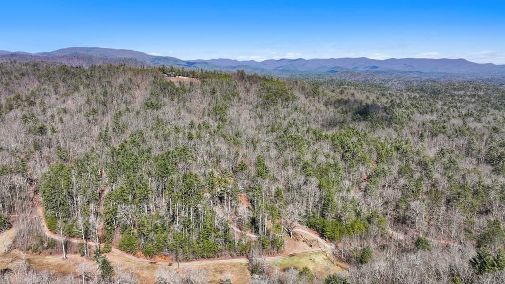 11.1 Ac. Stevens Ridge Road, Ellijay GA 30540 - Photo