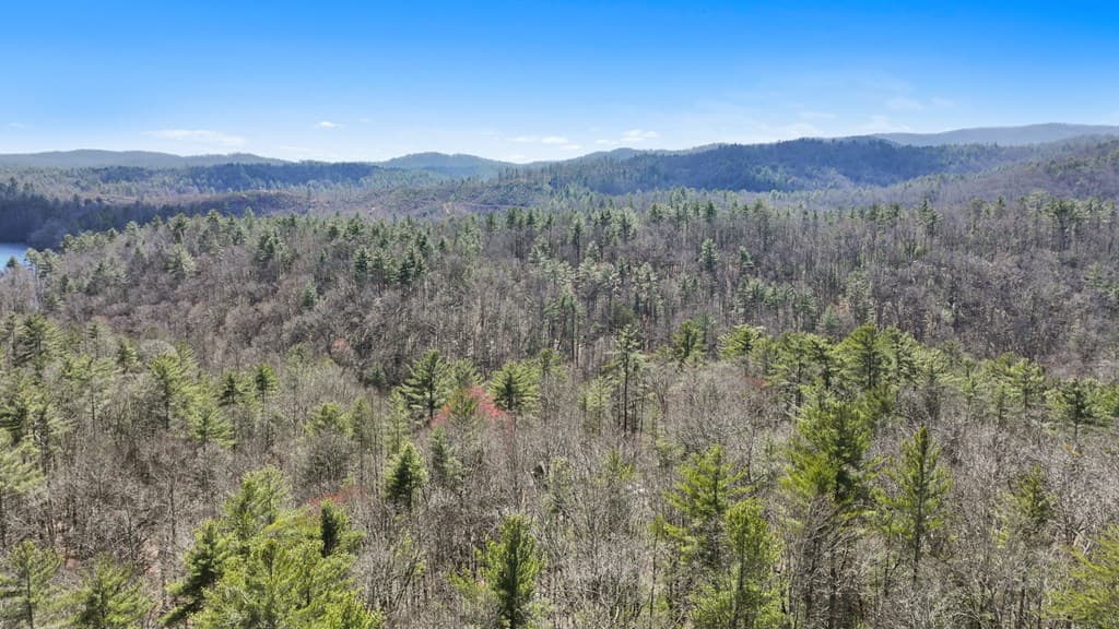 11.1 Ac. Stevens Ridge Road, Ellijay GA 30540 - Photo