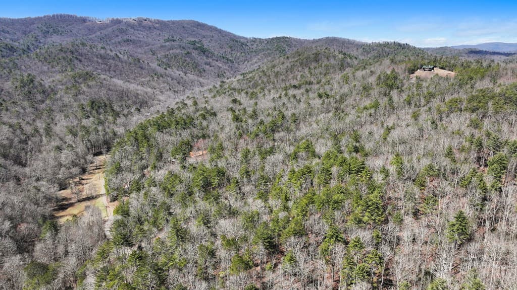 11.1 Ac. Stevens Ridge Road, Ellijay GA 30540 - Photo