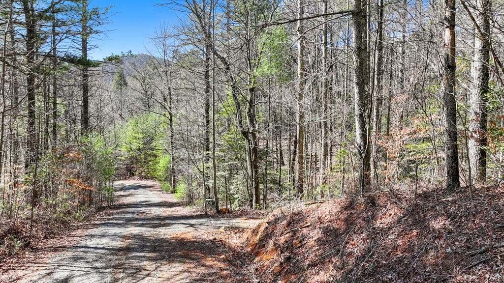 11.1 Ac. Stevens Ridge Road, Ellijay GA 30540 - Photo